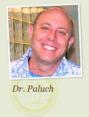 Dr. Paluch